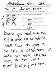 Kami Export Varshini Srinivasa Sex Linked Trait Worksheet Pdf Name Date Period Two