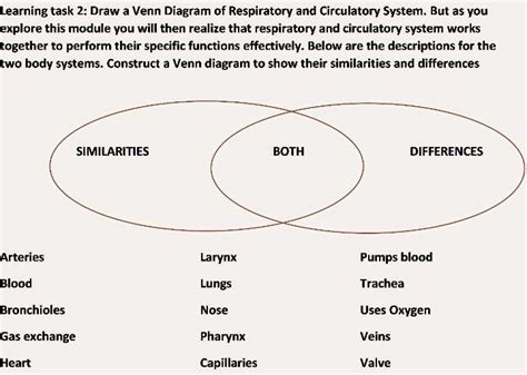 Solved Learning Task Draw A Venn Diagram Of Respiratory And