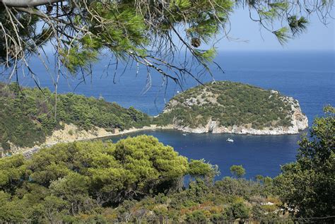 staphylos Photo from Stafylos in Skopelos | Greece.com