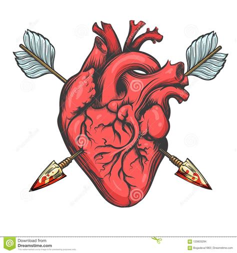 Red Heart Pierced With Golden Arrow Royalty Free Stock Photography