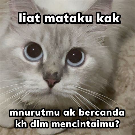 pin oleh atika tika  simpan cepat gambar lucu humor lucu tweet lucu