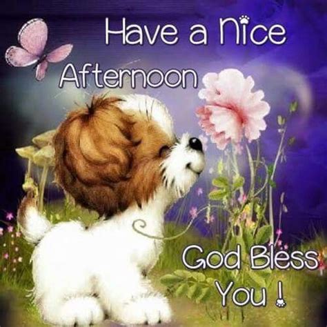 nice afternoon god bless  pictures   images