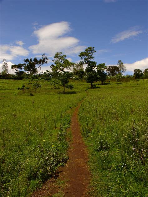 African Path Free Photo Download Freeimages