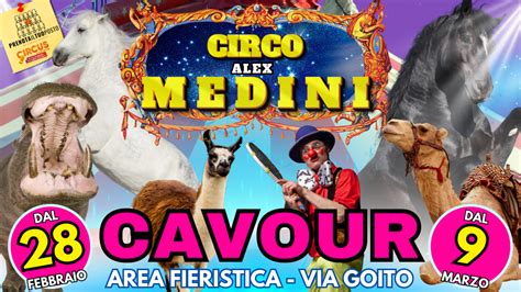 Circo Cavour Prenota Il Tuo Posto Circus Events