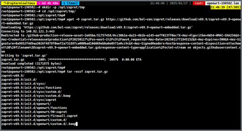 Bypassing Censorship with OpenWRT and Zapret