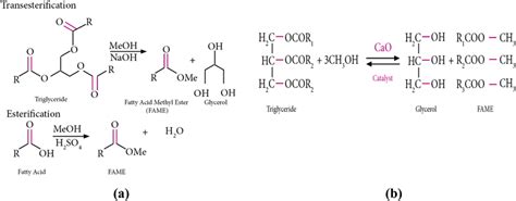 Esterification And Transesterification Reaction With A Heterogeneous