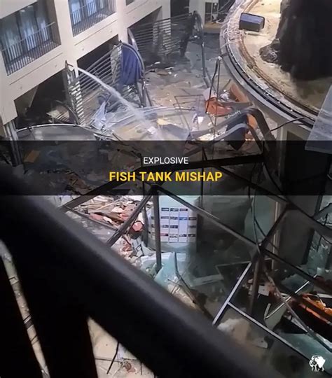 Explosive Fish Tank Mishap | PetShun