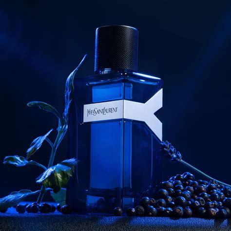 saint laurent perfume men 1