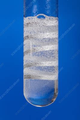 Methanoic Acid Reacting With Magnesium Ribbon Stock Image C059 7060