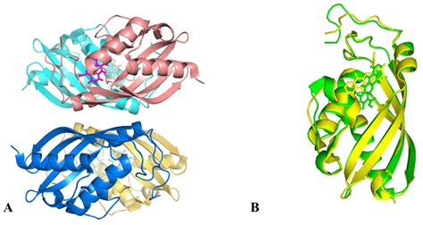 Molecules Free Full Text Rethinking Biosynthesis Of Aclacinomycin A