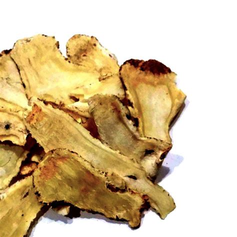 Dong Quai Buy Online • Herb Stomp