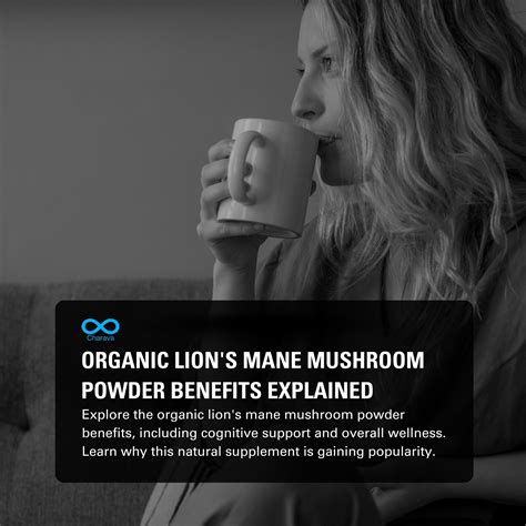Our Wellness Team Explains Mushroom Powder Benefits And How To Use It - RYZE Superfoods