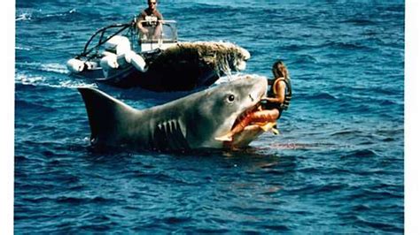 Australia’s Great White Crisis: New documentary by Discovery Channel