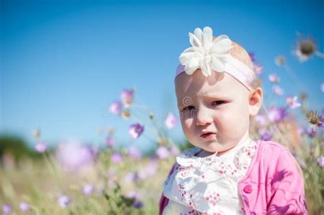 Red Haired Babe Sitting In A Field Stock Photo Image Of Flowers Female