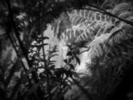 Claudette Colbert Nude Pics Page 1