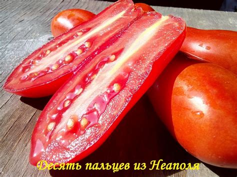 Томат Десять пальцев Неаполя: описание сорта, отзывы, фото, урожайность ...