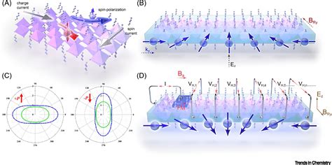 Ferroelectricity And Rashba Effect In D Organicinorganic Hybrid