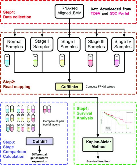 Overview Of The Cancer Deiso Database Construction The Construction Of