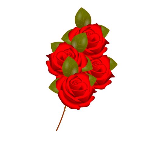 Rose Flower Animated Images | Best Flower Site