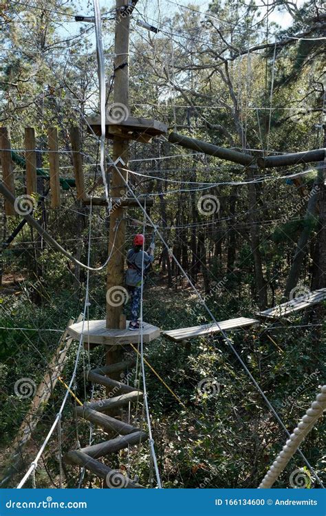 Girl Having Fun on Treetop Obstacle Course Stock Photo - Image of lady ...