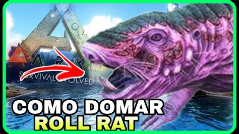 Como Domar O Roll Rat Rato Rolante Fjordur Ark Survival Evolved Youtube