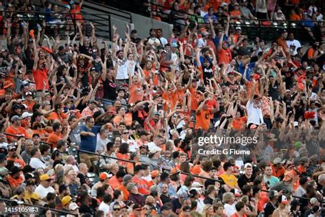 Baltimore orioles fan photos and premium high res pictures