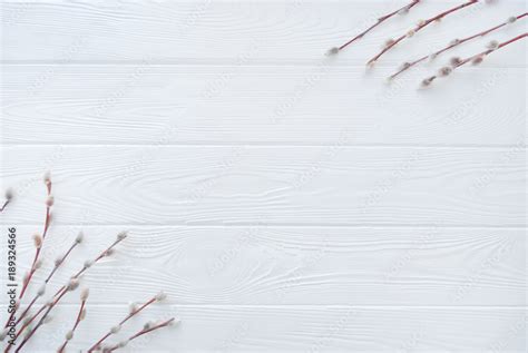 Pussy Willow Frame Spring Willow Branches On White Wooden Background Flat Lay Top View With
