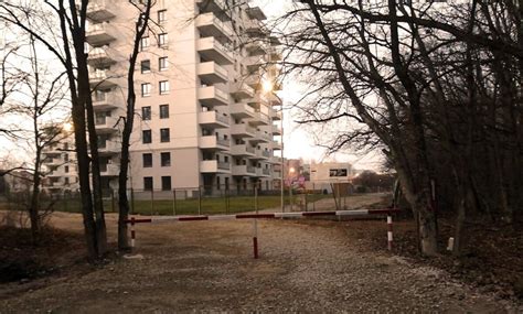 Greenfield. IMPACT acționează în instanță Primăria București, Primăria ...