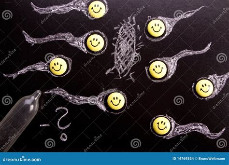 Sex Education Concept Stock Photo Image Of Granny Blackboard 14769354