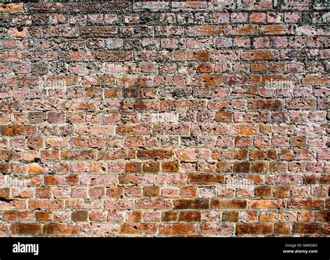 random brick wall  res stock photography  images alamy