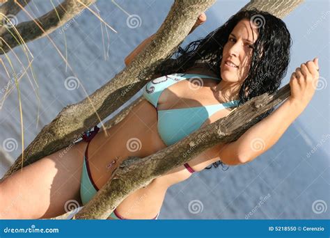 Dunkle Behaarte Frau Im Bikini Stockfoto Bild Von Recht Erwachsener