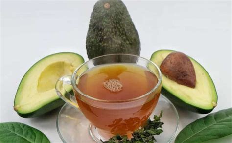 Té de hueso de aguacate Aguacates de la terreta