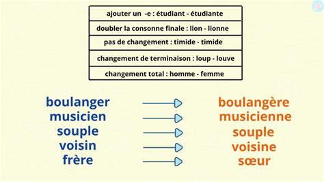 Le F Minin Des Noms Et Des Adjectifs Cm Cm Ma Tre Lucas