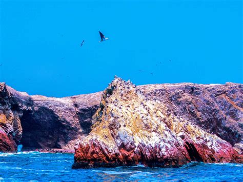 Explore the Best of Ballestas Islands Tour 2 hrs with a Boat