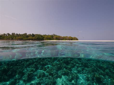 Living on a tiny island in the Maldives - Ocean Dimensions
