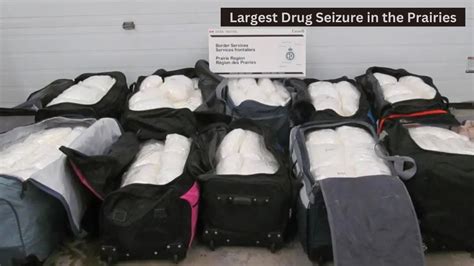 The Largest Drug Seizure In The Prairies A Detailed Breakdown Youtube