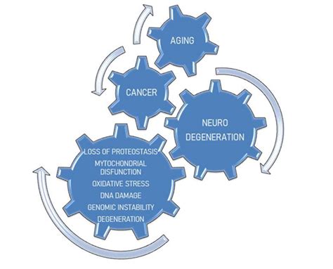neurodegenerative diseases  cancer sharing common mechanisms