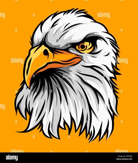 Eagle Head Vector