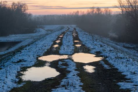 11 025 Naked Forest Images Stock Photos Free Royalty Free Stock Photos From Dreamstime