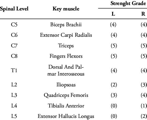 Muscle strength in lower and upper limbs. | Download Scientific Diagram