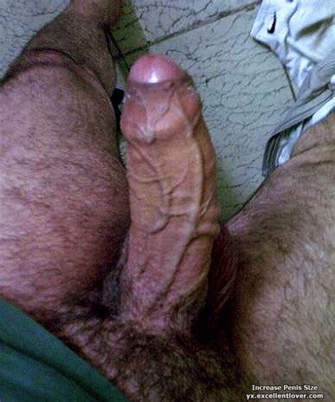 Various Penises Dicks Cocks Volume 13 Photo Gallery Porn Pics Sex