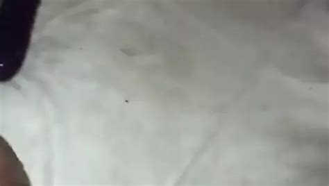 Free Huge Dildo Squirt Porn Videos 2 XHamster