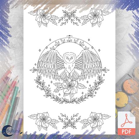 Owl Spirit Animal Meaning 3