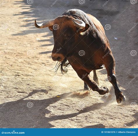 Fettnapfchenfuhrer Spanien Wie Man Den Stier Bei 7