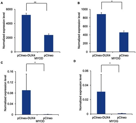 Expression Levels Of Myogenic Markers MYOD A And MYOG B Were