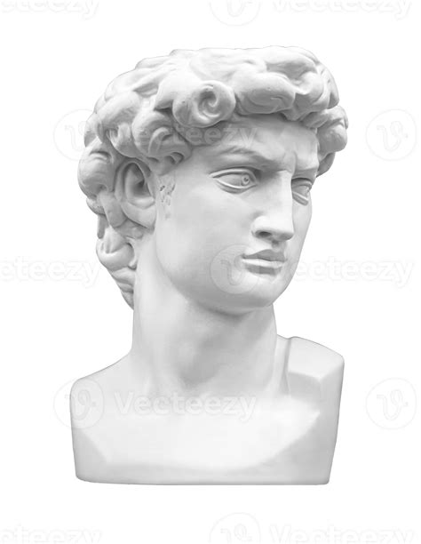 Closeup Of Beautiful Sculpture Gypsum Bust Of A Michelangelos David