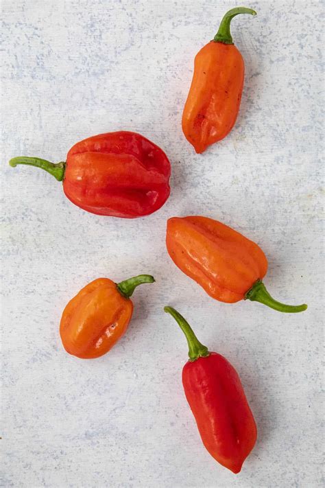 Aji Dulce: Mild Caribbean Peppers