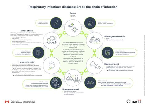 Six Elements Of Chain Of Infection 10