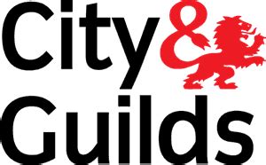 City and Guilds Functional Skills English Level 2 Past Papers