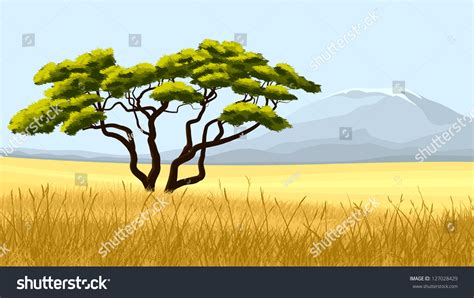 Vector Illustration African Landscape Yellow Grass Acacia Stock Vector